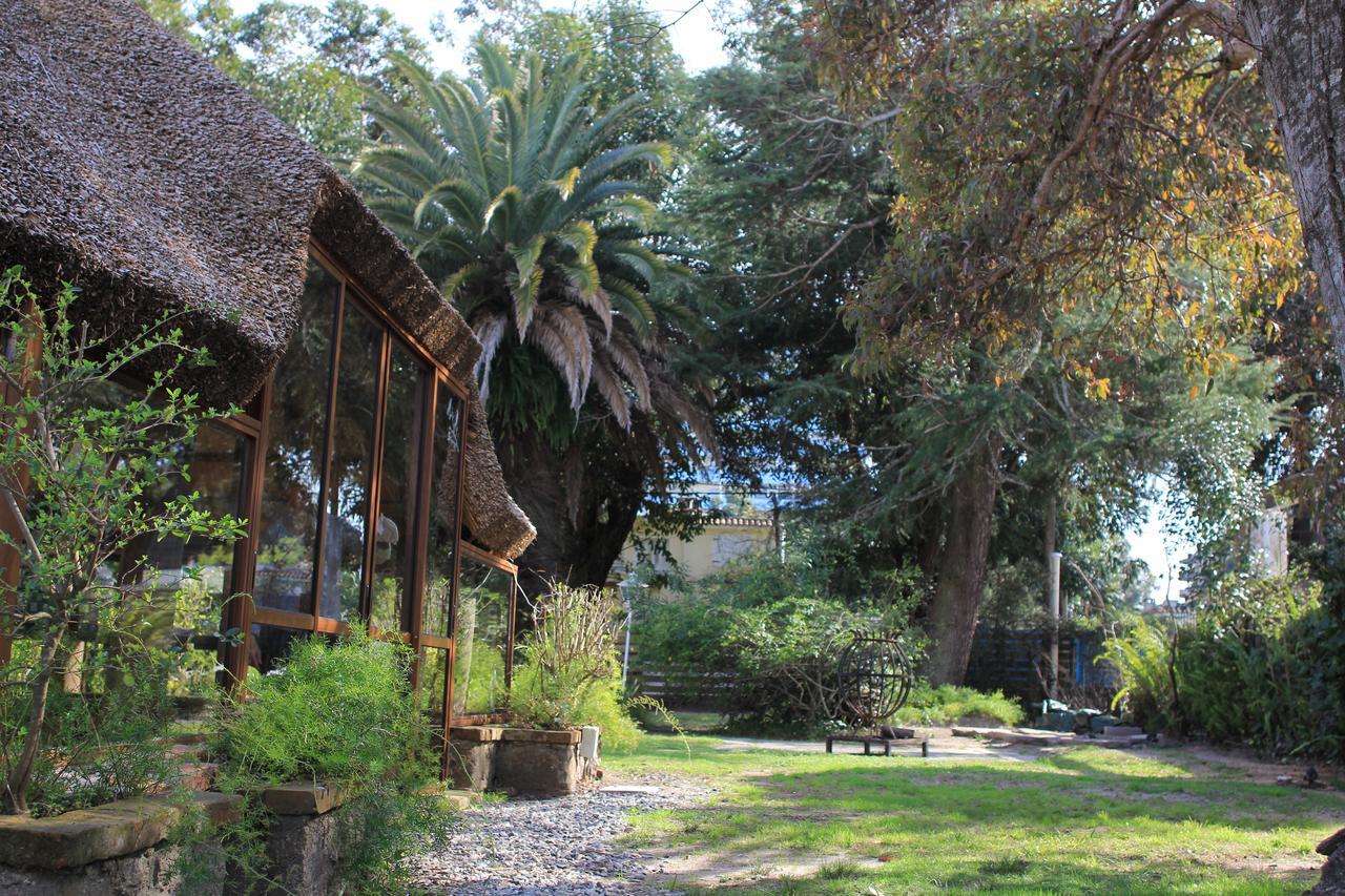 Santoral Restaurante Y Posada Pet Friendly Atlántida Exterior foto